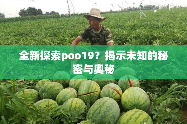 全新探索poo19？揭示未知的秘密与奥秘