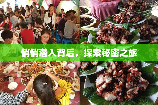悄悄潜入背后，探索秘密之旅