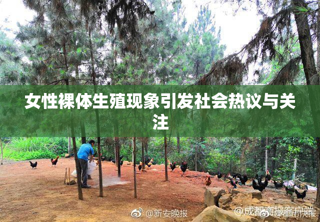 女性裸体生殖现象引发社会热议与关注