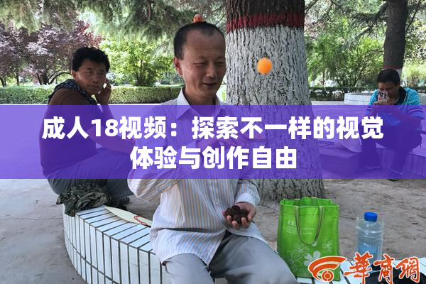 成人18视频：探索不一样的视觉体验与创作自由