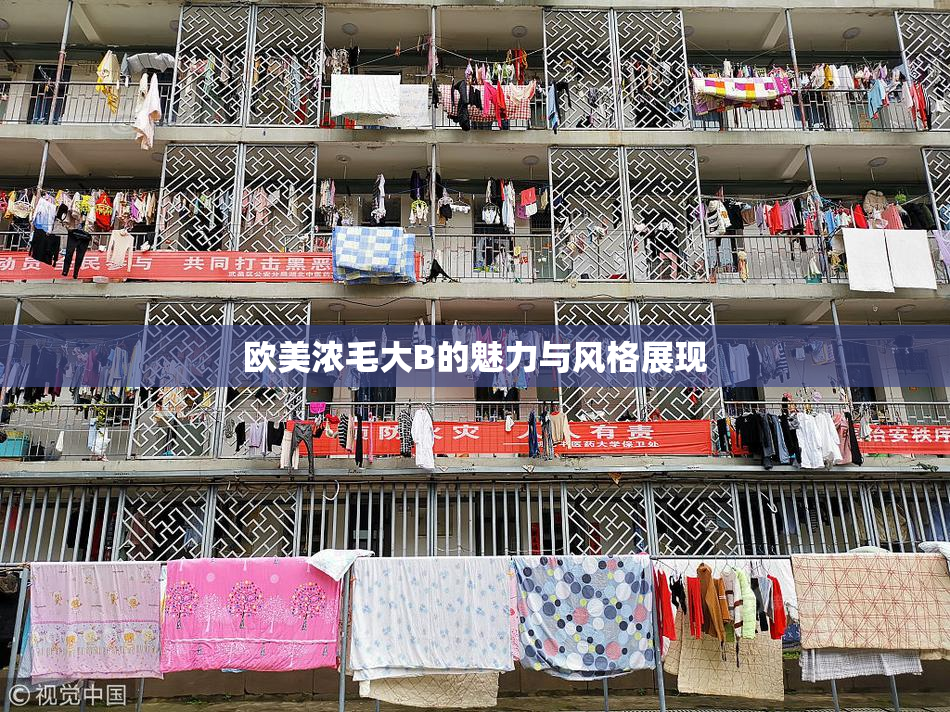 欧美浓毛大B的魅力与风格展现