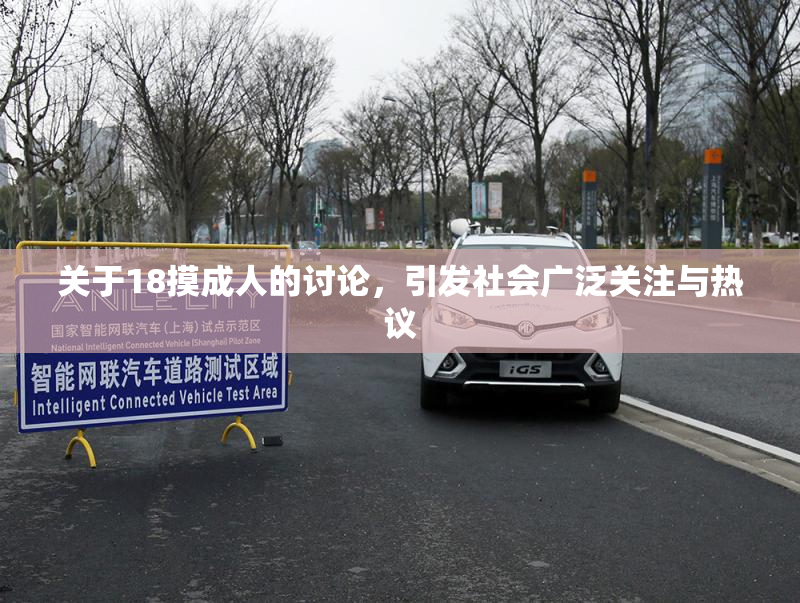关于18摸成人的讨论，引发社会广泛关注与热议