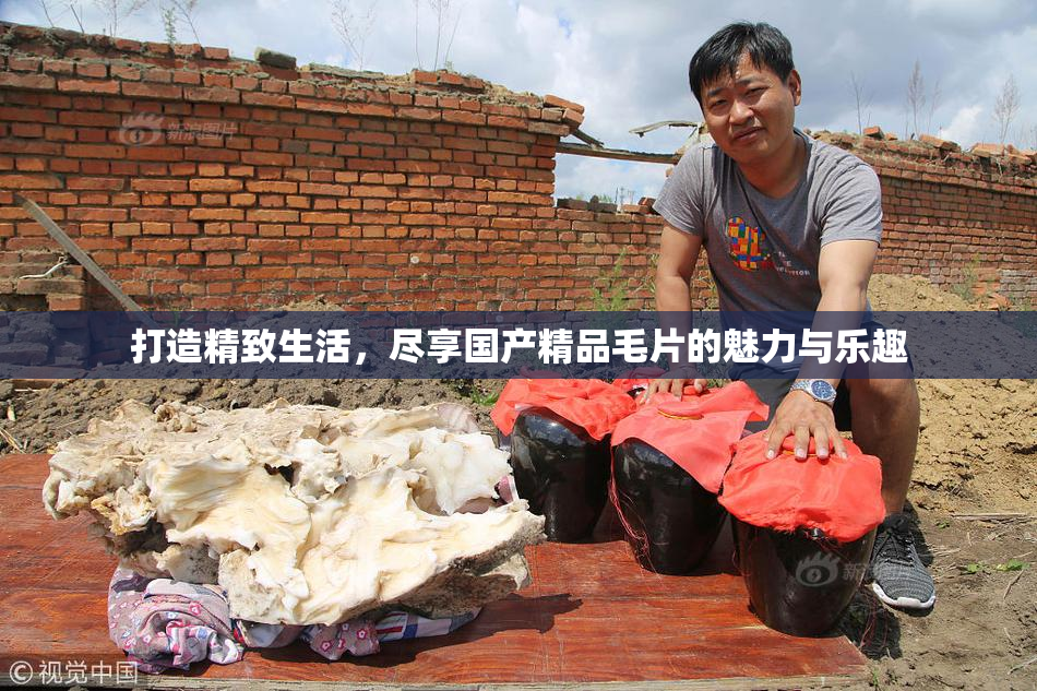 打造精致生活，尽享国产精品毛片的魅力与乐趣