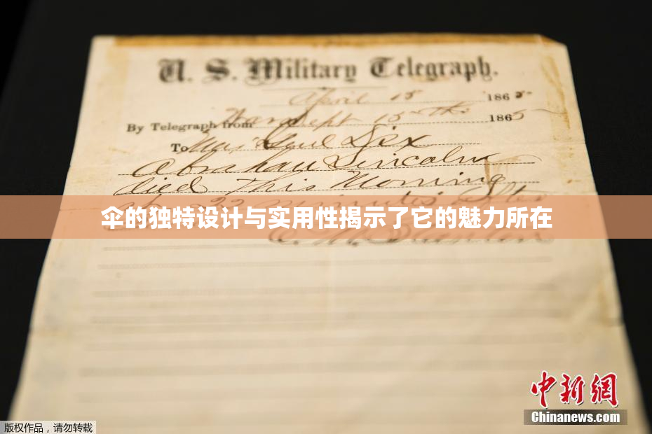 伞的独特设计与实用性揭示了它的魅力所在