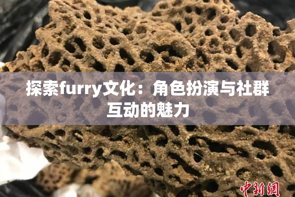 探索furry文化：角色扮演与社群互动的魅力
