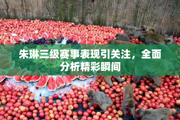 朱琳三级赛事表现引关注，全面分析精彩瞬间