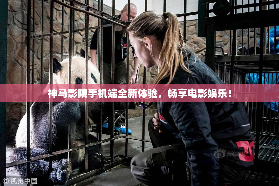 神马影院手机端全新体验，畅享电影娱乐！