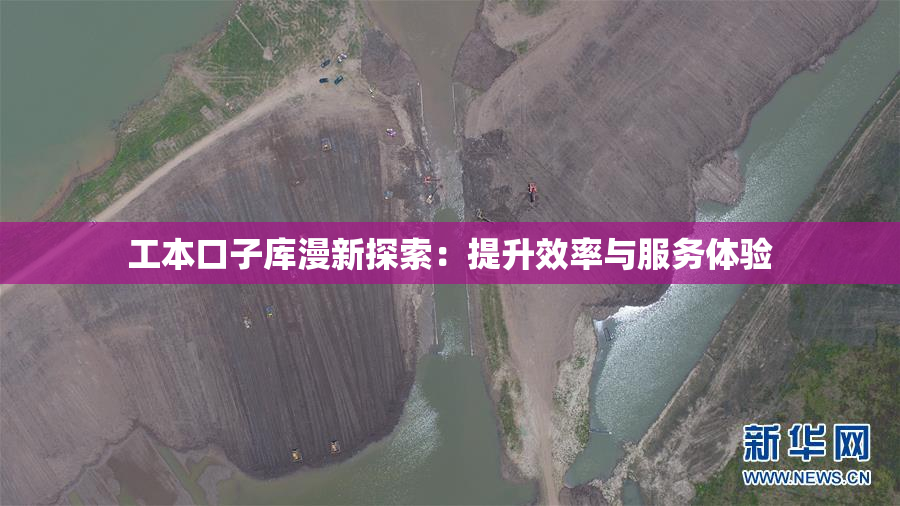 工本口子库漫新探索：提升效率与服务体验