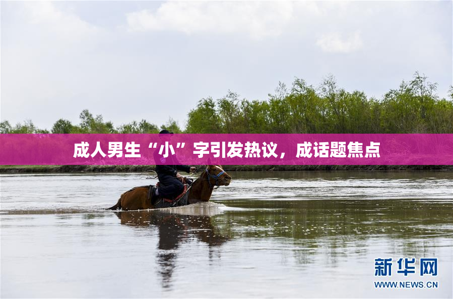 成人男生“小”字引发热议，成话题焦点