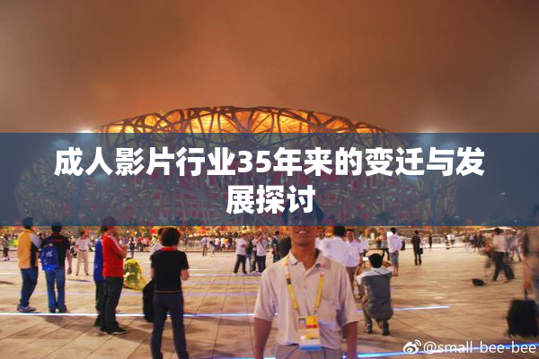 成人影片行业35年来的变迁与发展探讨