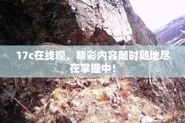 17c在线观，精彩内容随时随地尽在掌握中！