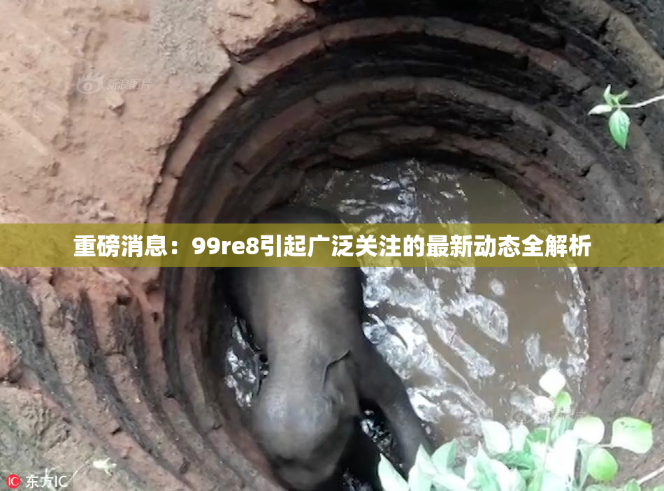 重磅消息：99re8引起广泛关注的最新动态全解析