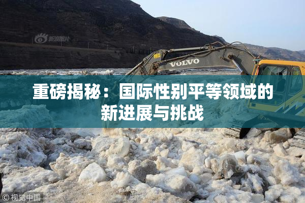 重磅揭秘：国际性别平等领域的新进展与挑战