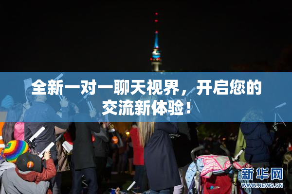 全新一对一聊天视界，开启您的交流新体验！