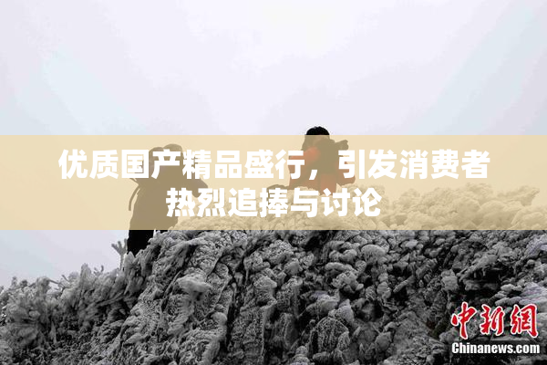优质国产精品盛行，引发消费者热烈追捧与讨论