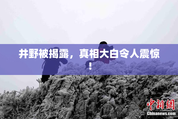 井野被揭露，真相大白令人震惊！