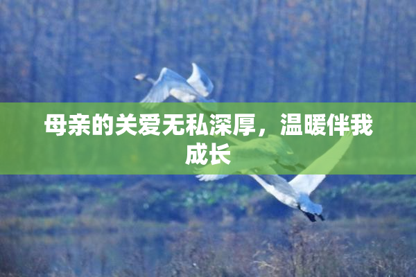 母亲的关爱无私深厚，温暖伴我成长