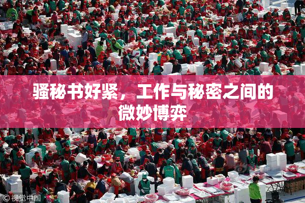 骚秘书好紧，工作与秘密之间的微妙博弈