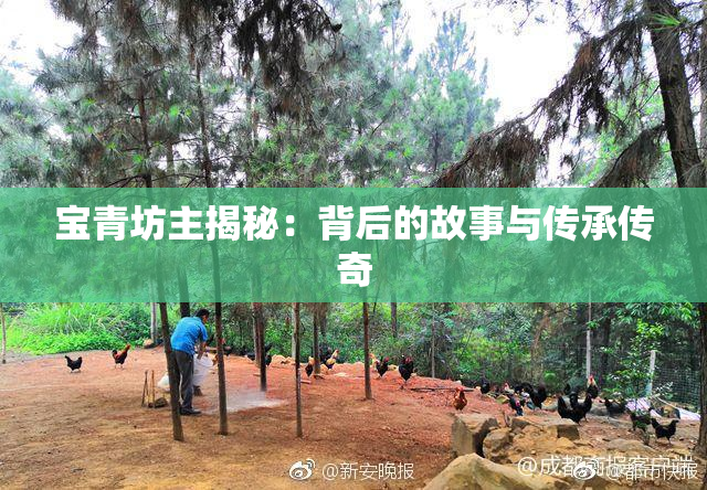 宝青坊主揭秘：背后的故事与传承传奇