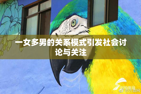 一女多男的关系模式引发社会讨论与关注