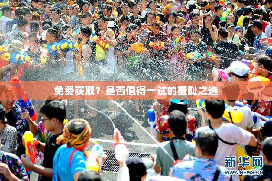 免费获取？是否值得一试的羞耻之选