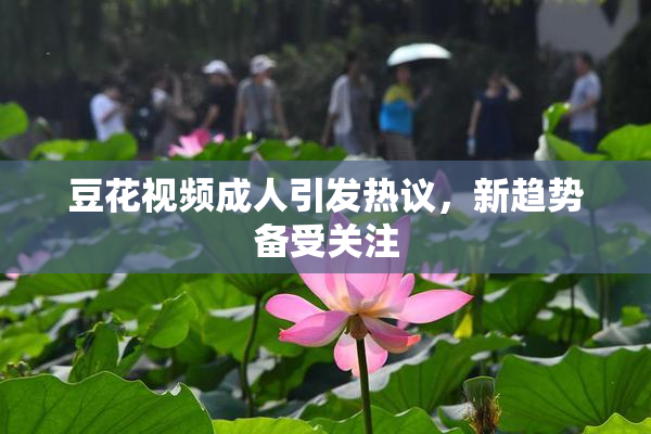豆花视频成人引发热议，新趋势备受关注