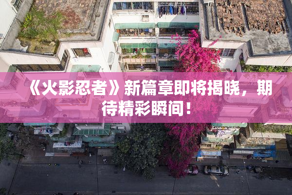 《火影忍者》新篇章即将揭晓，期待精彩瞬间！
