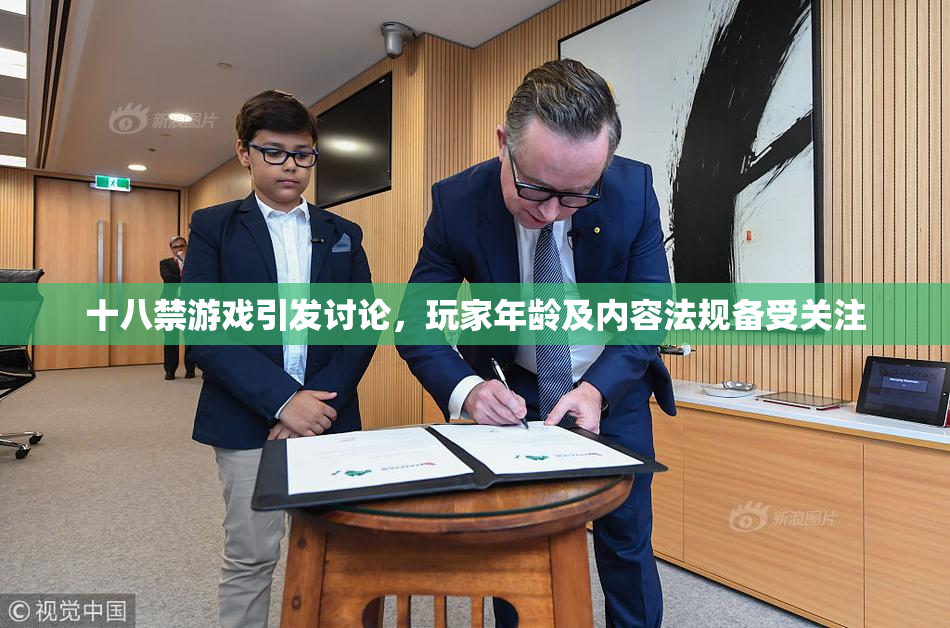 十八禁游戏引发讨论，玩家年龄及内容法规备受关注