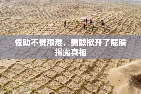 佐助不畏艰难，勇敢掀开了屁股揭露真相