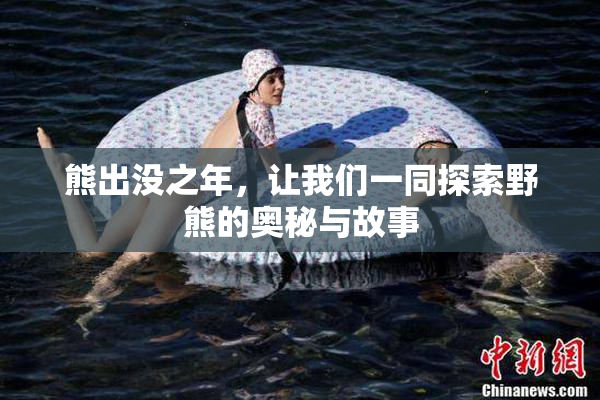 熊出没之年，让我们一同探索野熊的奥秘与故事