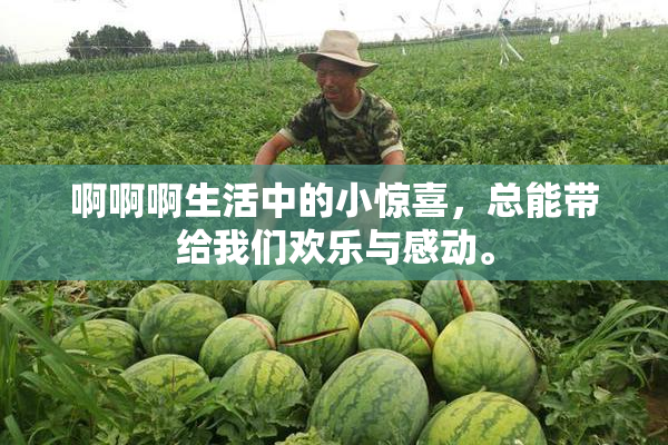 啊啊啊生活中的小惊喜，总能带给我们欢乐与感动。