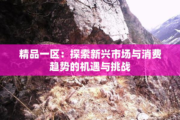 精品一区：探索新兴市场与消费趋势的机遇与挑战