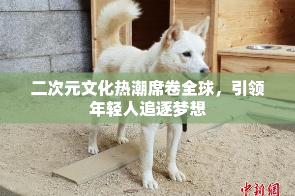 二次元文化热潮席卷全球，引领年轻人追逐梦想