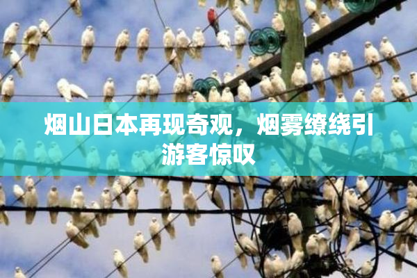 烟山日本再现奇观，烟雾缭绕引游客惊叹