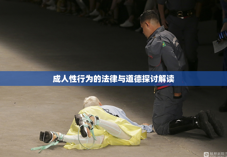 成人性行为的法律与道德探讨解读