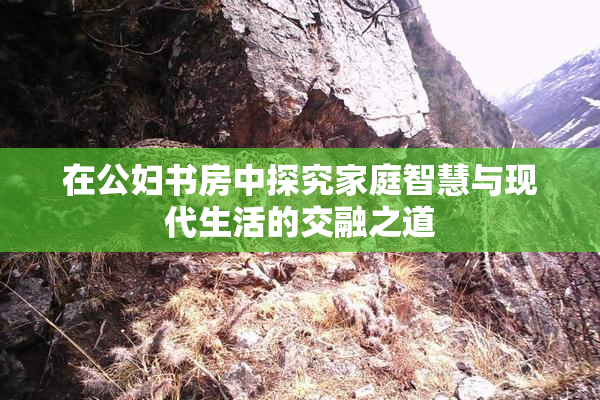 在公妇书房中探究家庭智慧与现代生活的交融之道