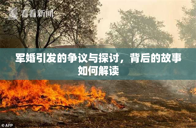 军婚引发的争议与探讨，背后的故事如何解读