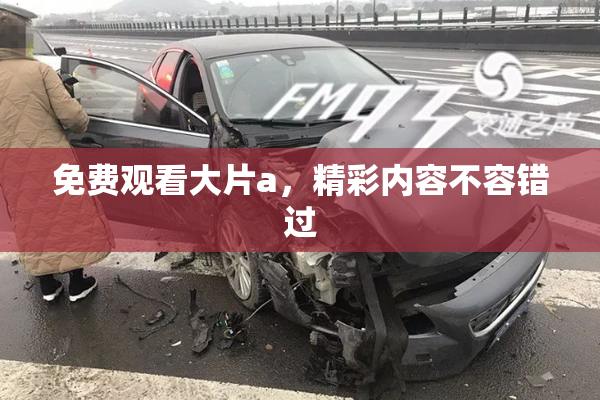 免费观看大片a，精彩内容不容错过