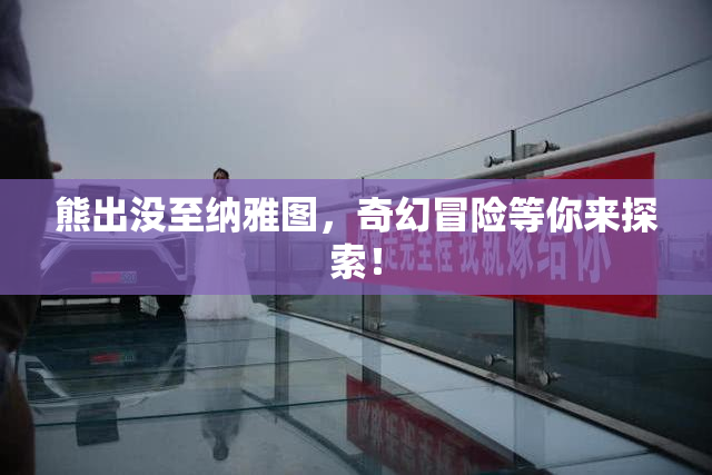 熊出没至纳雅图，奇幻冒险等你来探索！