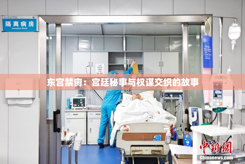 东宫禁脔：宫廷秘事与权谋交织的故事