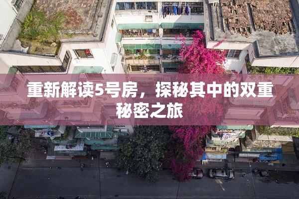 重新解读5号房，探秘其中的双重秘密之旅