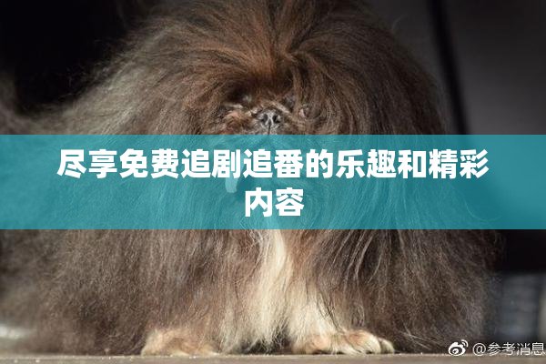 尽享免费追剧追番的乐趣和精彩内容
