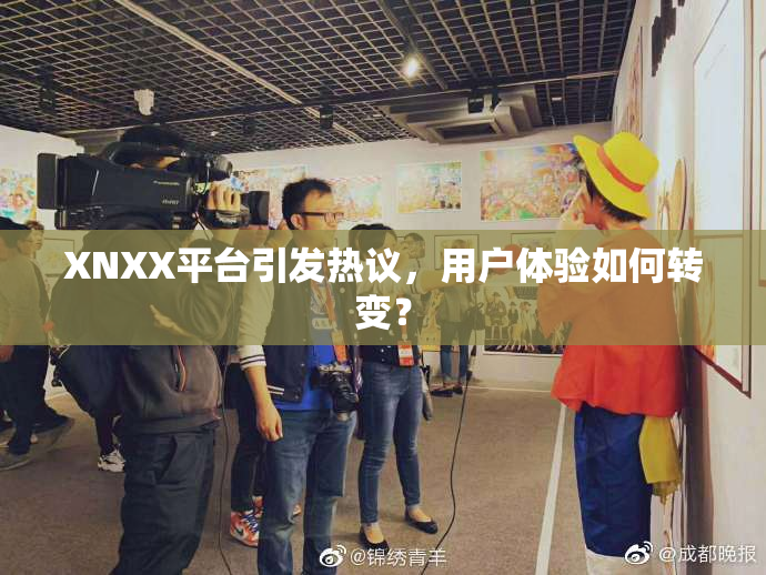 XNXX平台引发热议，用户体验如何转变？
