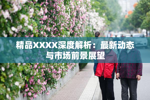精品XXXX深度解析：最新动态与市场前景展望
