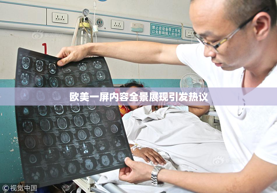欧美一屏内容全景展现引发热议