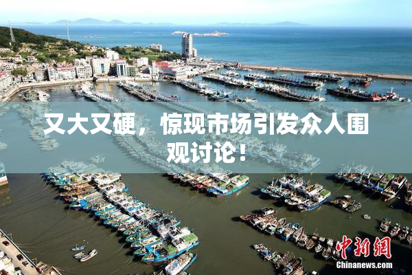 又大又硬，惊现市场引发众人围观讨论！