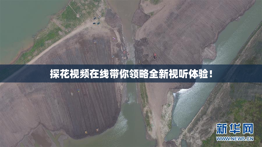 探花视频在线带你领略全新视听体验！