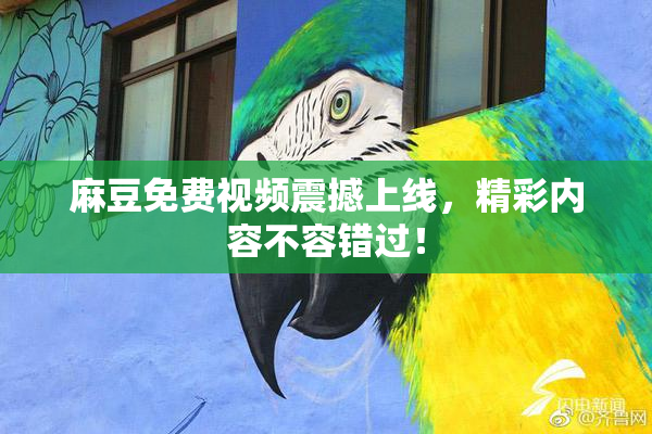 麻豆免费视频震撼上线，精彩内容不容错过！