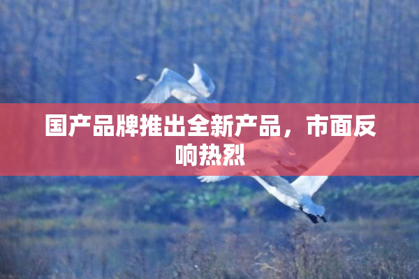 国产品牌推出全新产品，市面反响热烈