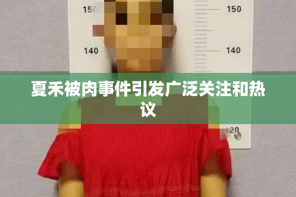 夏禾被肉事件引发广泛关注和热议